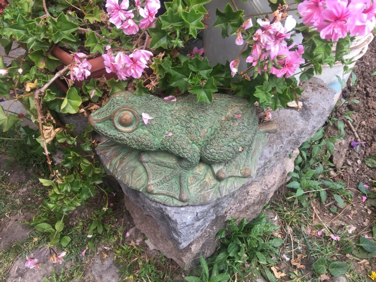 Casona Mollepata Ξενοδοχείο Εξωτερικό φωτογραφία